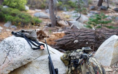 NAHS Powers Ahead with New Leadership and Growth Strategy