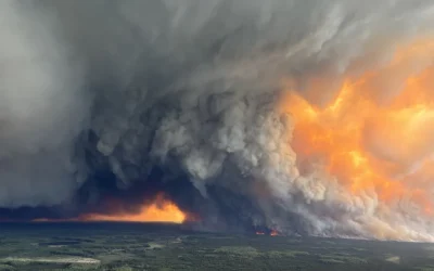 Urgent Call for Support: Assistance for Evacuated First Nations Families in Edmonton